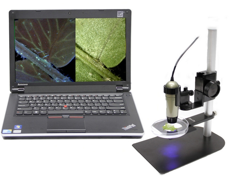 Микроскоп цифровой Dino-Lite AM4113T-CFVW (флуоресцентный/ультрафиолетовый) - фото 3 - id-p223971678