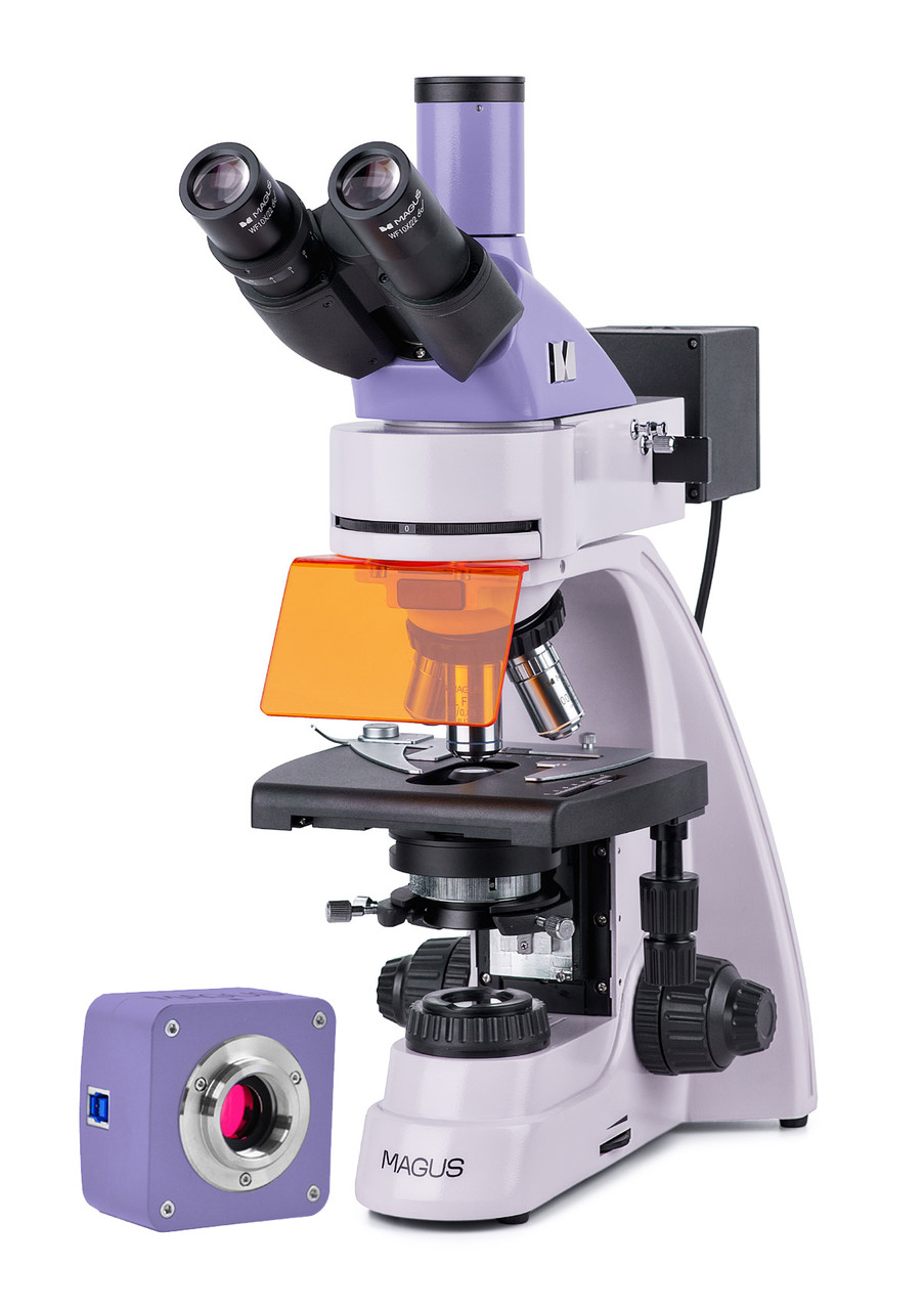 Микроскоп люминесцентный цифровой MAGUS Lum D400L - фото 1 - id-p223971749