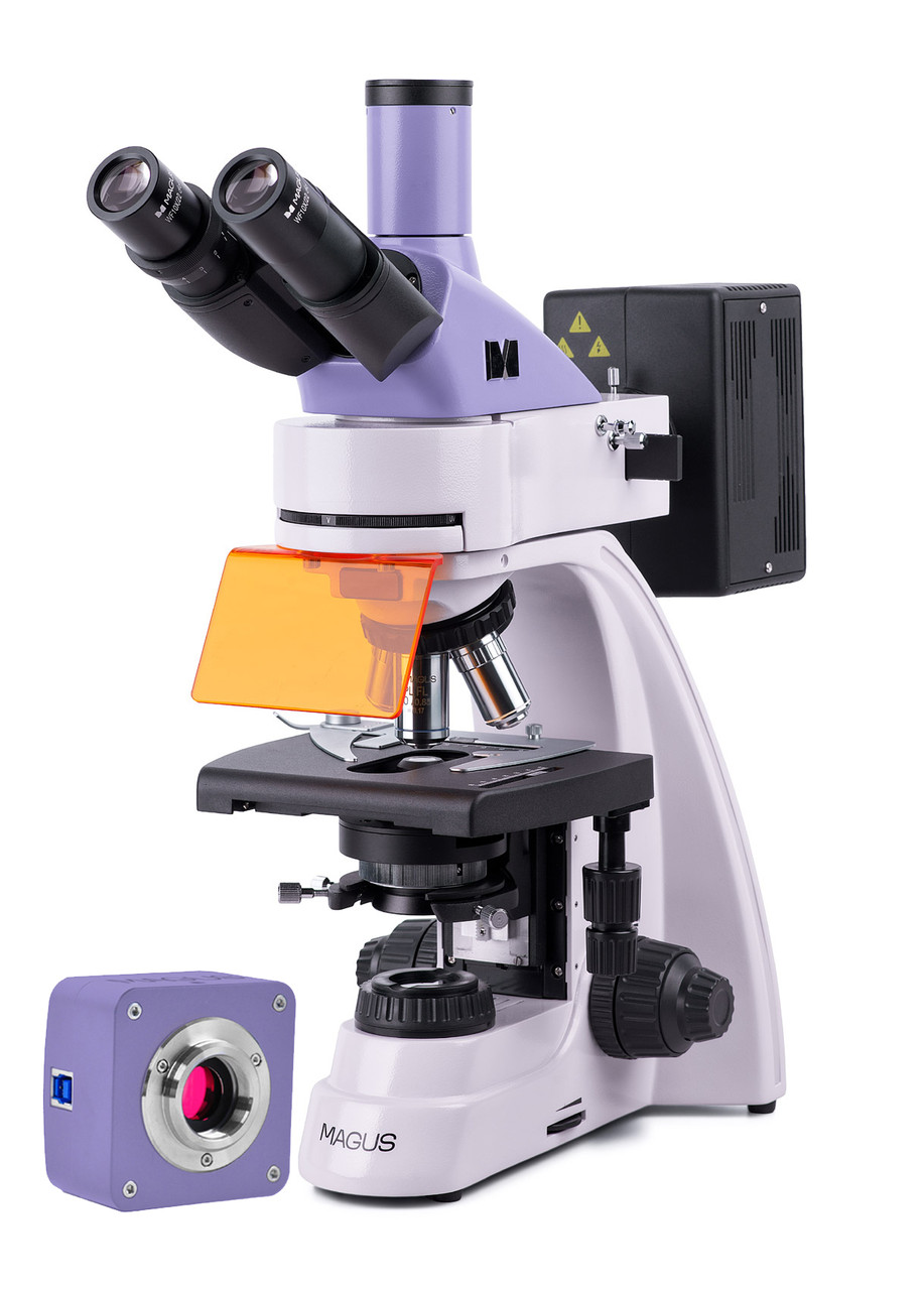 Микроскоп люминесцентный цифровой MAGUS Lum D400 - фото 1 - id-p223971750