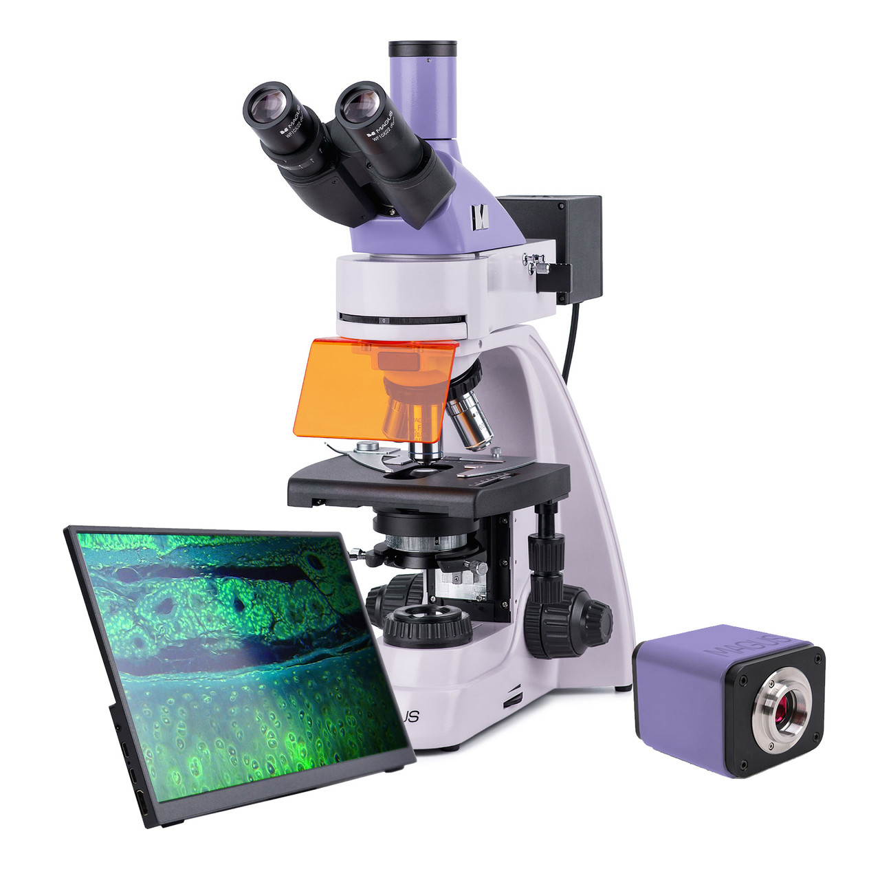 Микроскоп люминесцентный цифровой MAGUS Lum D400L LCD - фото 1 - id-p223971751