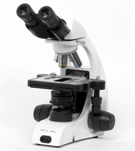 Микроскоп Micros МС 50 (XP ECO), бинокулярный - фото 1 - id-p223971770