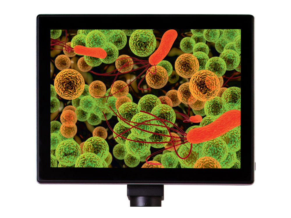 Камера цифровая Levenhuk MED 5 Мпикс с ЖК-экраном 9,4" для микроскопов - фото 1 - id-p112451739