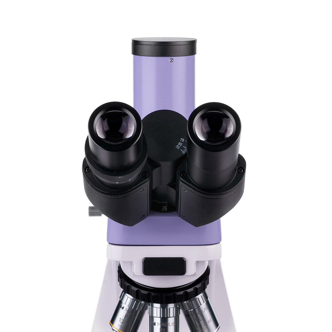 Микроскоп биологический MAGUS Bio 250T - фото 10 - id-p223971788