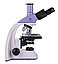 Микроскоп биологический MAGUS Bio 250TL, фото 7