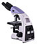 Микроскоп биологический MAGUS Bio 250BL, фото 4