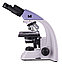 Микроскоп биологический MAGUS Bio 250BL, фото 8