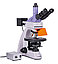 Микроскоп люминесцентный MAGUS Lum 400L, фото 3
