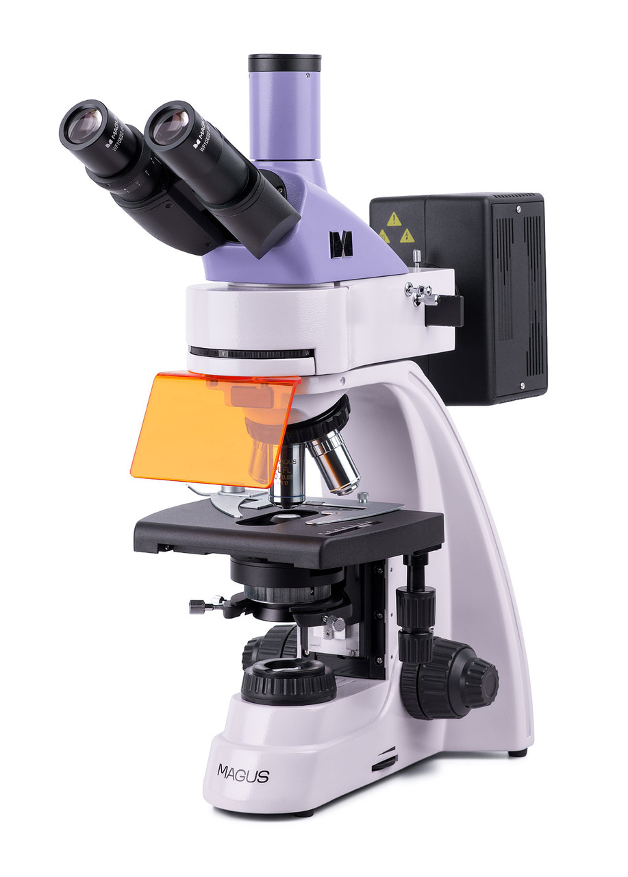 Микроскоп люминесцентный MAGUS Lum 400 - фото 1 - id-p223971800