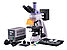 Микроскоп люминесцентный MAGUS Lum 400, фото 2