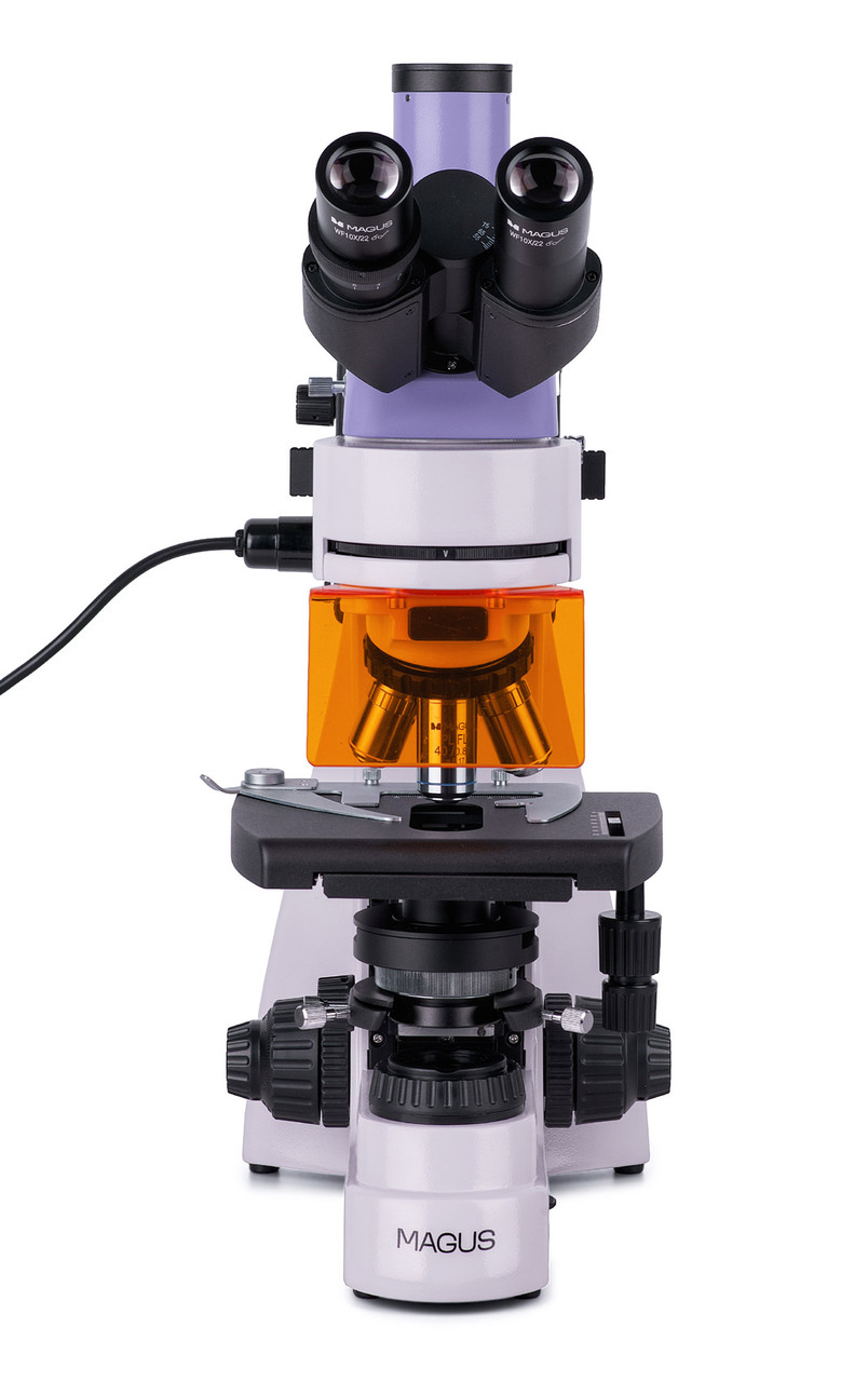 Микроскоп люминесцентный MAGUS Lum 400 - фото 5 - id-p223971800