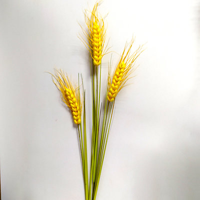 Колосья декоративные 125 см