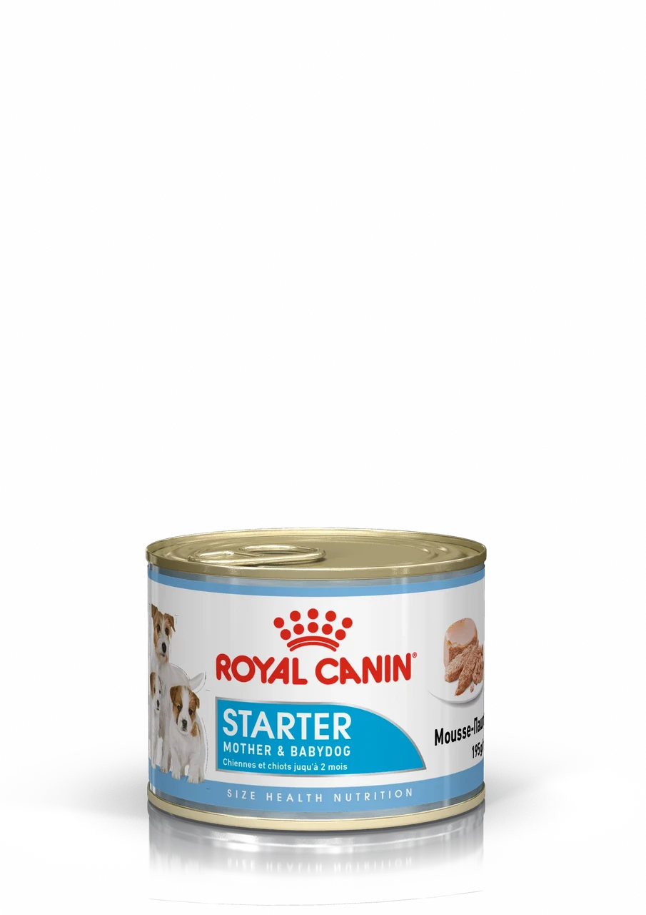 Royal Canin Starter Mousse влажный корм для беременных и кормящих собак, а также щенков до 2мес.,195г, Австрия