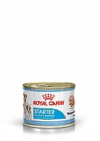 Royal Canin Starter Mousse влажный корм для беременных и кормящих собак, а также щенков до 2мес.,195г, Австрия