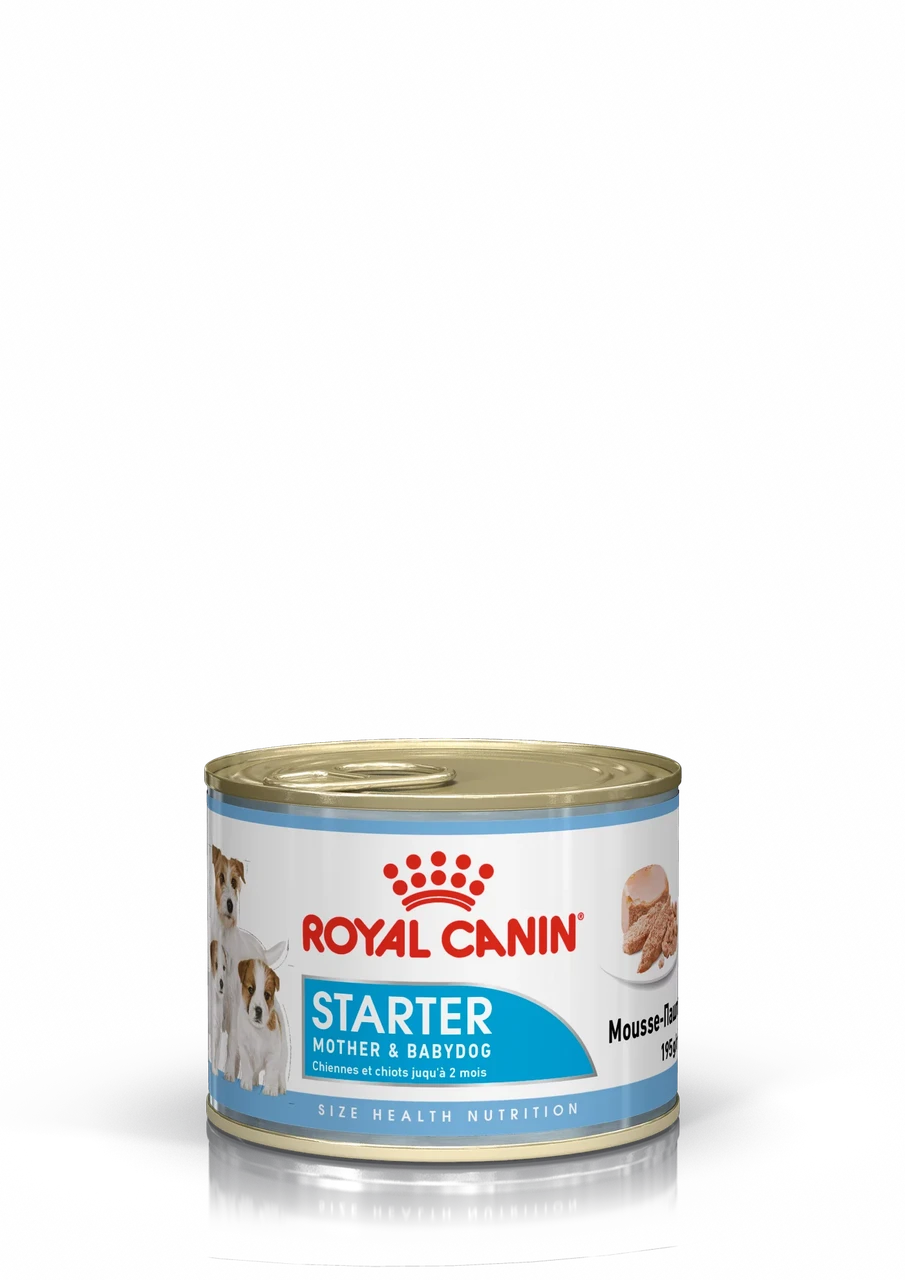 Royal Canin Starter Mousse влажный корм для беременных и кормящих собак, а также щенков до 2мес.,195г, Австрия - фото 1 - id-p224002751