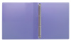 Папка панорама на 4-х кольцах Бюрократ Pastel PAST0740/4RVIO A4 пластик 0.7мм кор.40мм торц.карм с бум. встав - фото 4 - id-p224005688