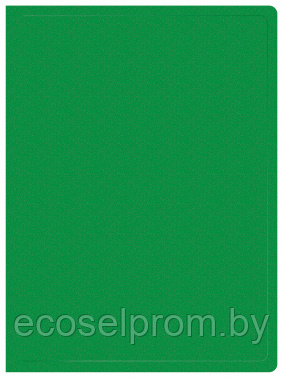 Папка с 20 прозр.вклад. Buro -ECB20GREEN A4 пластик 0.5мм зеленый - фото 1 - id-p224008630