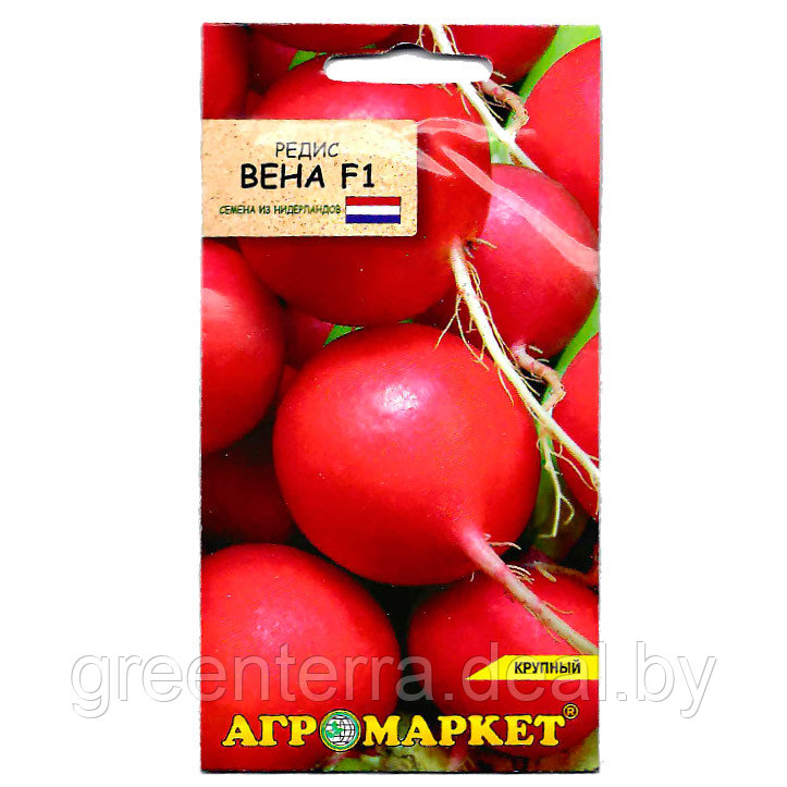 Редис Вена F1 1гр - фото 1 - id-p185067037