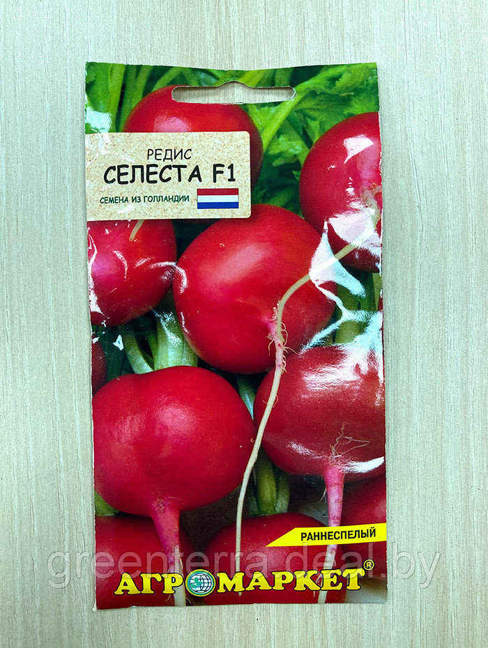 Редис Селеста F1 1гр - фото 3 - id-p185014814