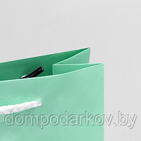 Пакет ламинированный «Зелёный», S 12 х 15 х 5,5 см, фото 6