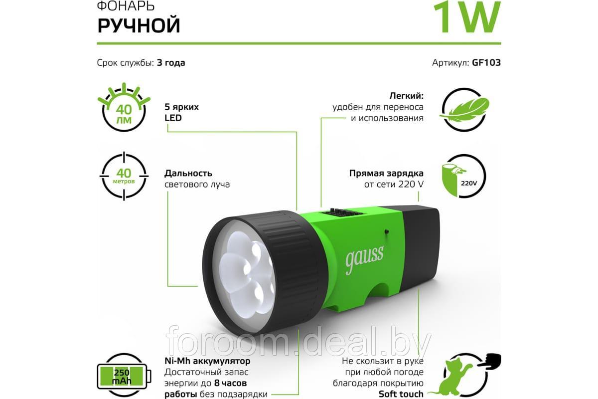 Фонарь Gauss GFL103 1W 40lm NI-MH 250mAh LED 1/12/72 - фото 1 - id-p224014676