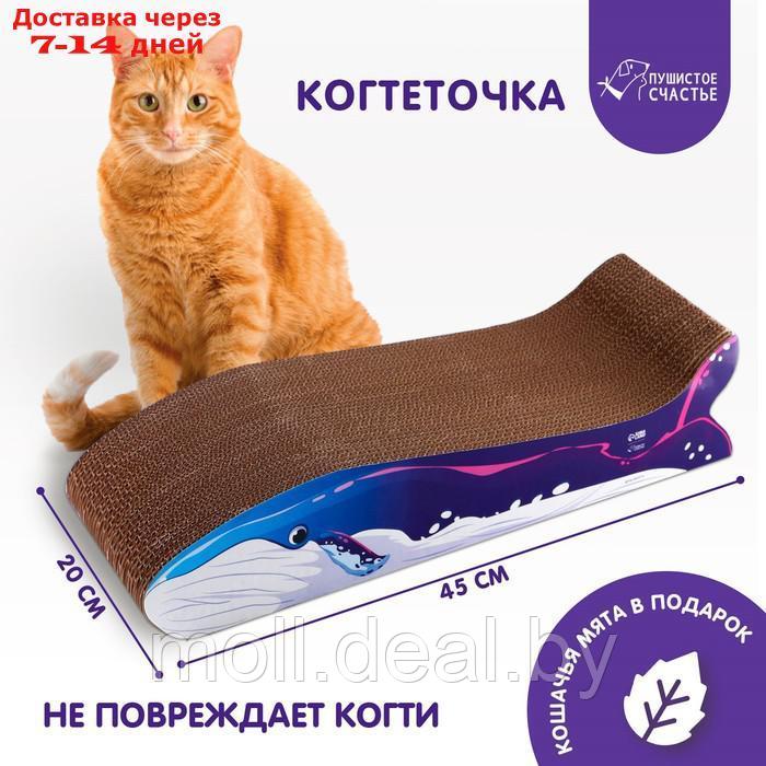 Когтеточка из картона с кошачьей мятой "Кит"