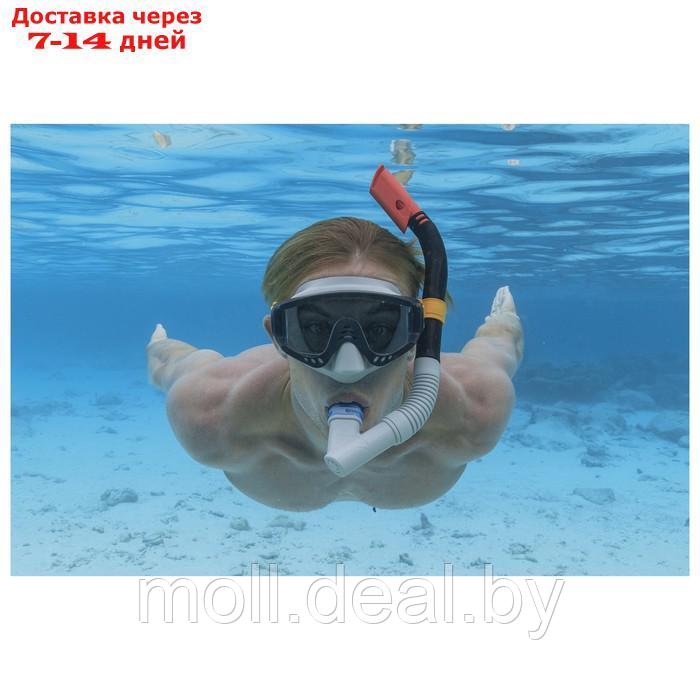 Набор для плавания Spark Wave Snorkel Mask (маска,трубка) от 14 лет, цвета микс 24068 - фото 3 - id-p223962762