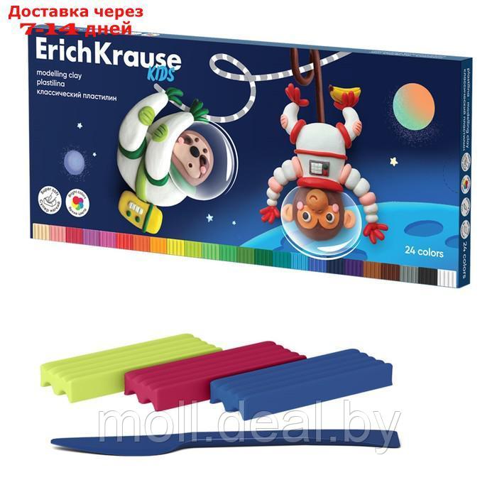 Пластилин 24 цвета, 432 г, ErichKrause "Kids Space Animals", со стеком, в картонной упаковке