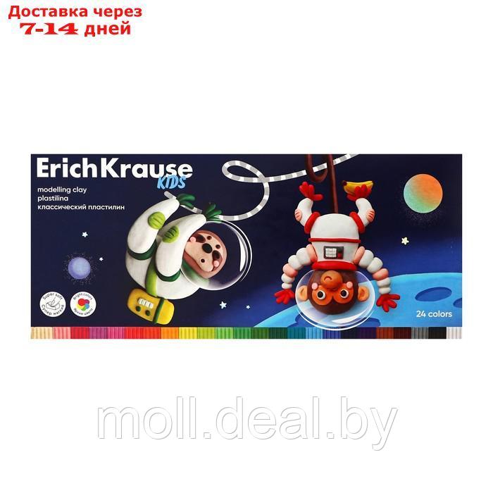 Пластилин 24 цвета, 432 г, ErichKrause "Kids Space Animals", со стеком, в картонной упаковке - фото 2 - id-p223992799