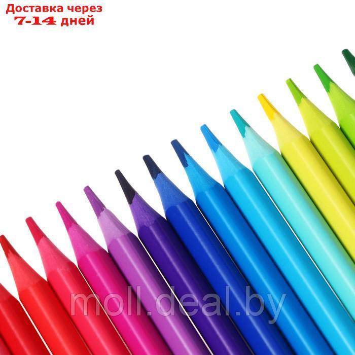 Карандаши цветные 24 цвета, пластиковые Мульти-Пульти "Чебурашка", заточенные, европодвес - фото 3 - id-p223993792