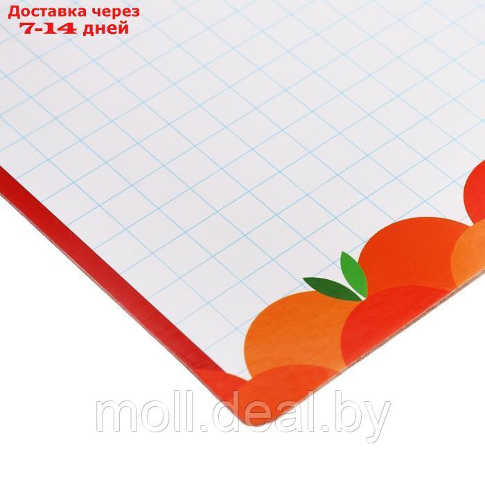 Доска для рисования с маркером двухсторонняя Мульти-Пульти "Чебурашка", 24*34см - фото 4 - id-p223993796