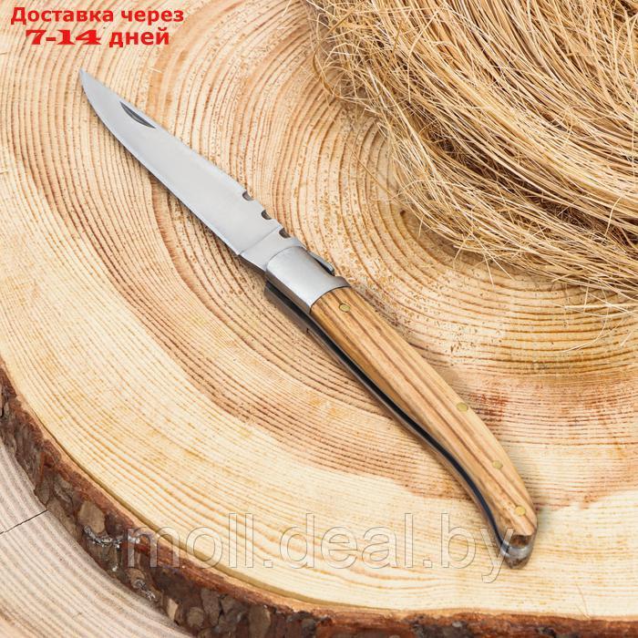 Нож складной "Плющ" 19,5см, клинок 90мм/2мм, рукоять дерево - фото 1 - id-p223993894