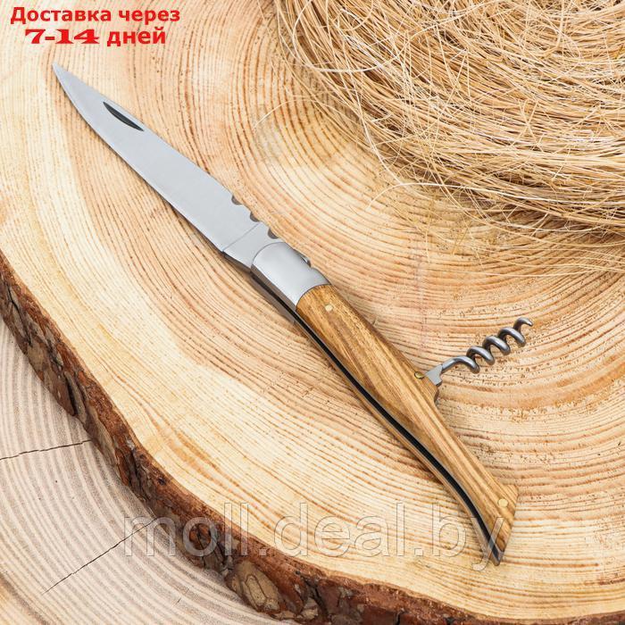 Нож складной "Плющ" 21см, клинок 95мм/3мм, со штопором, рукоять дерево - фото 1 - id-p223993940