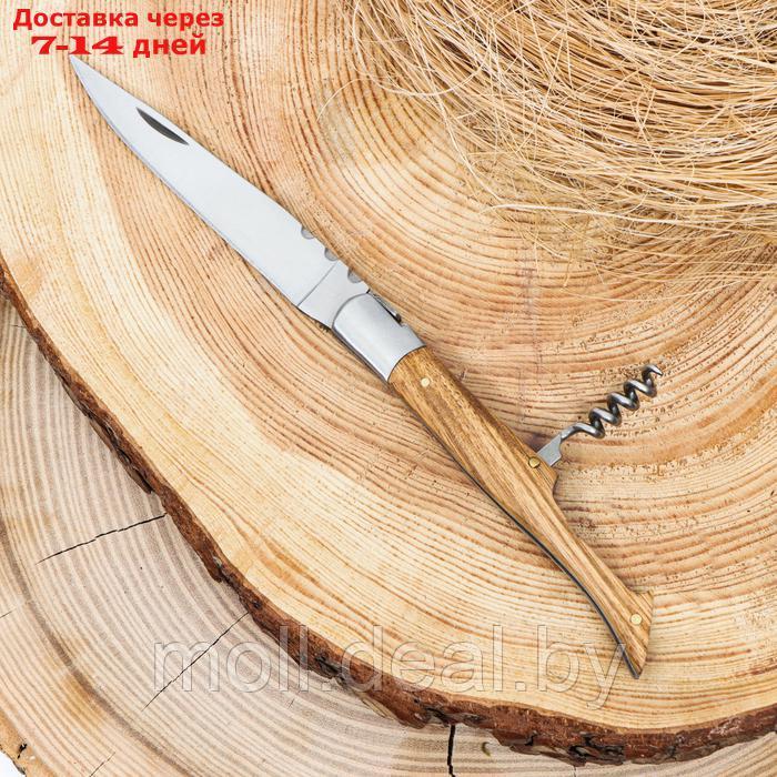 Нож складной "Плющ" 21см, клинок 95мм/3мм, со штопором, рукоять дерево - фото 2 - id-p223993940