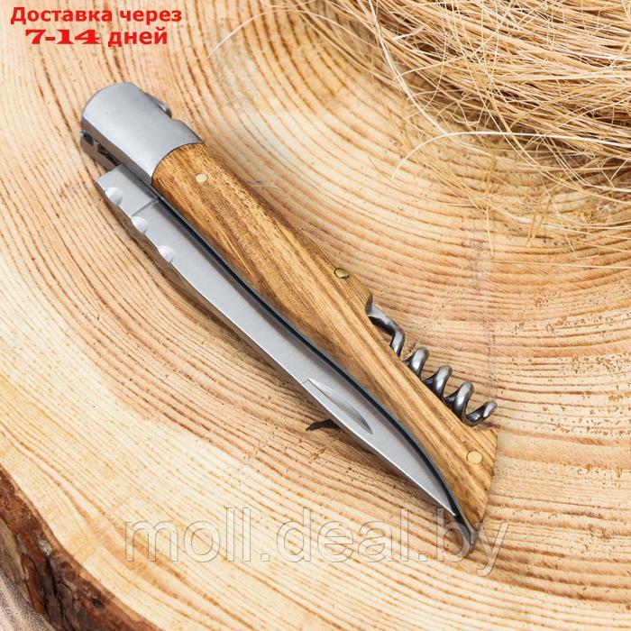 Нож складной "Плющ" 21см, клинок 95мм/3мм, со штопором, рукоять дерево - фото 3 - id-p223993940
