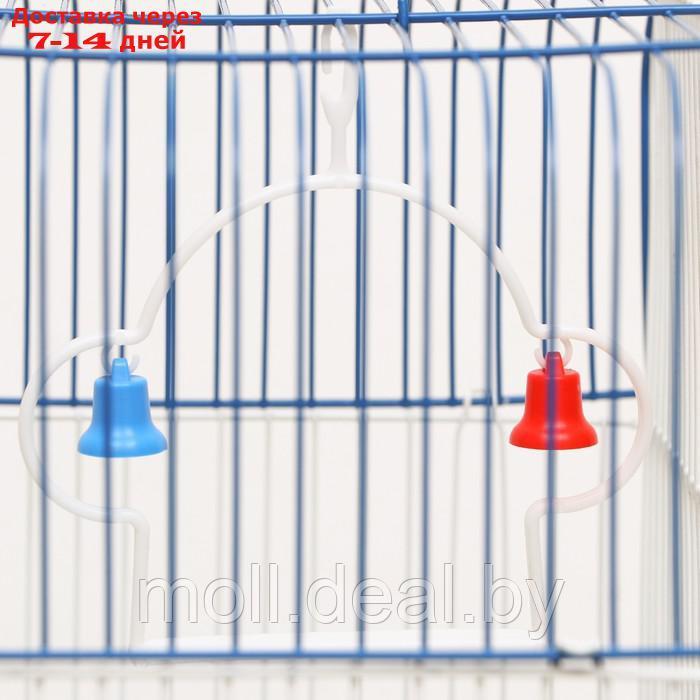 Клетка для птиц квадратная с кормушками, 35 х 28 х 55 см, синяя - фото 5 - id-p223993109