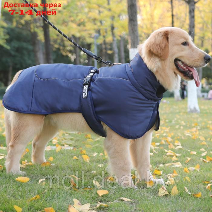 Попона для больших собак, мембранная ткань, размер XL (ДС 35, ОШ 38, ОГ 56-66 см), синяя - фото 4 - id-p223981499