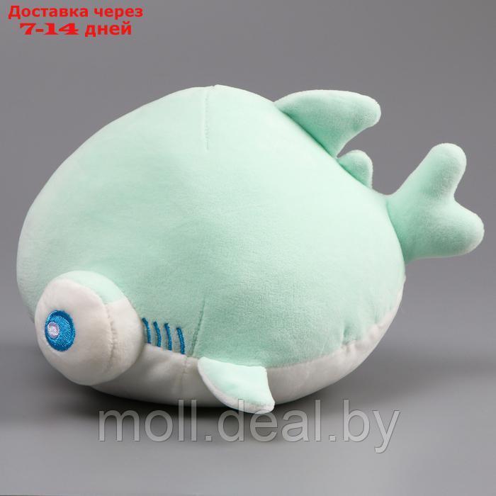 Мягкая игрушка "Акула" с большими глазами, 19 см, цвет бирюзовый - фото 3 - id-p223993200