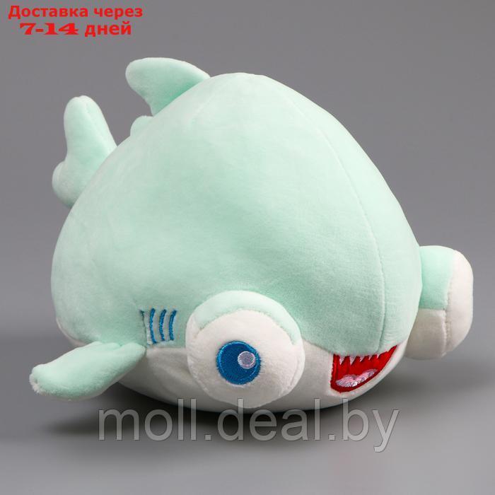 Мягкая игрушка "Акула" с большими глазами, 19 см, цвет бирюзовый - фото 5 - id-p223993200