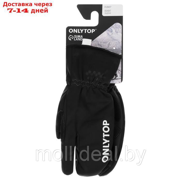 Перчатки лыжные лобстеры ONLYTOP мод. 2089 размер L - фото 2 - id-p223985966