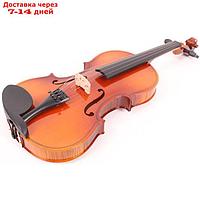 Скрипка Mirra VB-290-1/8 1/8 в футляре со смычком