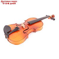 Скрипка Mirra VB-310-1/4 1/4 в футляре со смычком