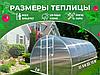 Теплица Агросити Плюс 4м поликарбонат 4мм тепличный, фото 3