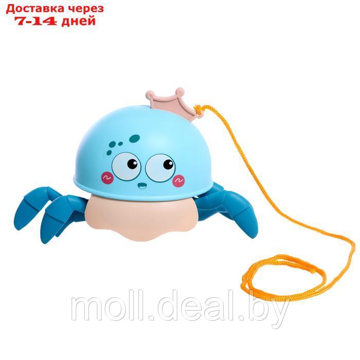 Заводная игрушка "Крабик", водоплавающая, цвет МИКС - фото 7 - id-p223993295