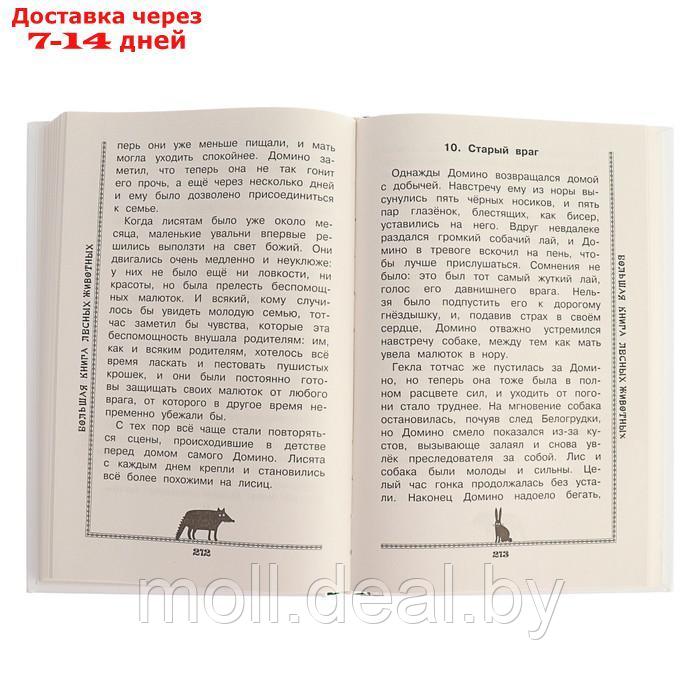 Большая книга лесных животных. Зальтен Ф., Пришвин М. М., Бианки В. В. - фото 4 - id-p223993413