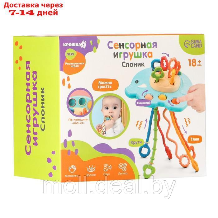 Сенсорная игрушка для малышей "Слоник", цвет МИКС - фото 10 - id-p223993521