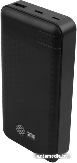 Портативное зарядное устройство CACTUS CS-PBFSET-20000 (черный) - фото 1 - id-p224022598