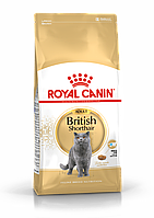Royal Canin British Short Adult сухой корм для взрослых британских короткошерстных кошек, 10кг (Россия)