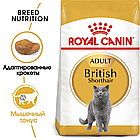 Сухой корм Royal Canin British Short  Adult  для взрослых британских короткошерстных кошек 400гр., фото 2