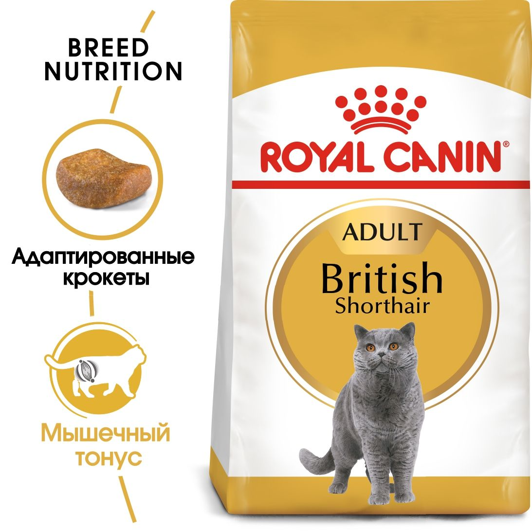 Royal Canin British Short Adult сухой корм для взрослых британских короткошерстных кошек, 2кг (Россия) - фото 2 - id-p224027269
