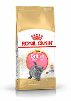 Royal Canin British Shorthair Kitten сухой корм для котят британской короткошерстной породы, 2кг (Россия)